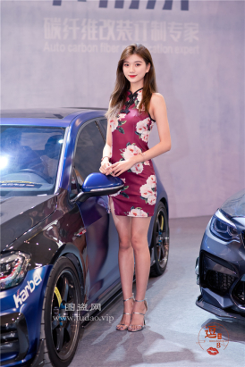 编码0536车展合集