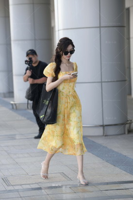 气质的连衣裙小仙女