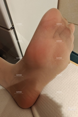 性感薄肉丝和油亮si你更喜欢谁呢